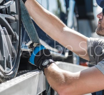 Article Title of Article Image